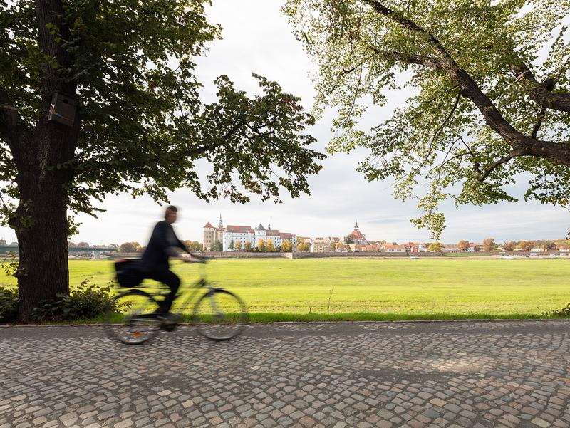 Fahrradfahrerin auf dem Elberadweg, im Hintergrund Schloss Hartenfels